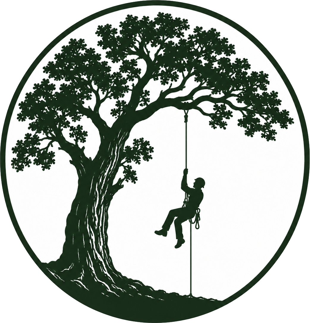 Yolo County Tree Service